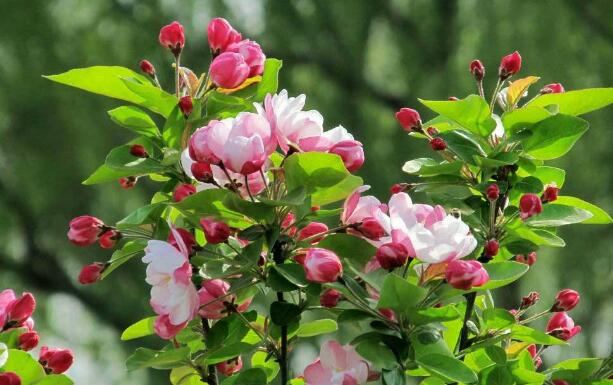 400公斤空氣壓縮機(jī)