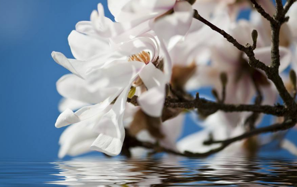 400公斤空氣壓縮機(jī)